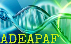ADEAPAF — Asociación para la Defensa y Apoyo de personas con Poliposis Adenomatosa Familiar