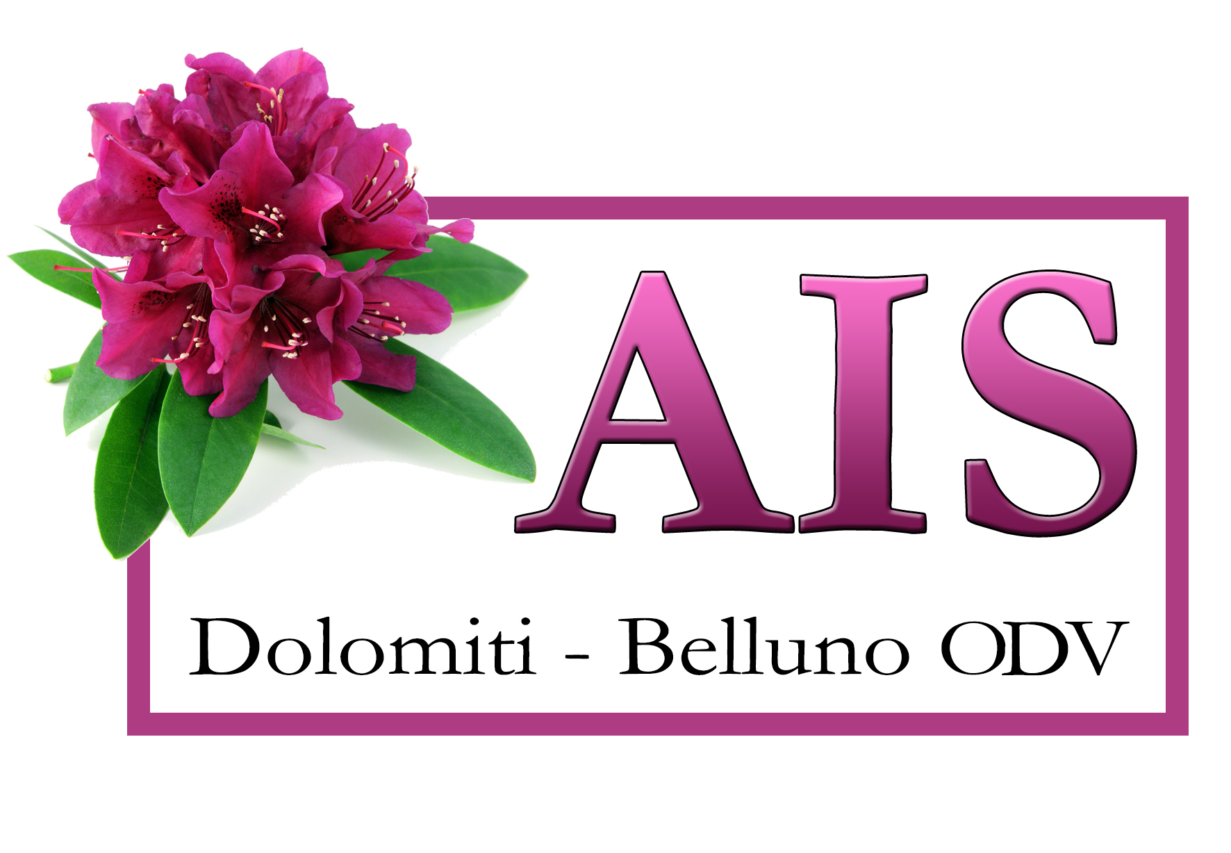 A.I.S. – Associazione Incontinenti Stomizzati Dolomiti Belluno